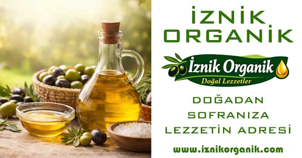 Organik İznik Logo